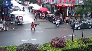 Ferocious Dog Attacks People over 20 Injured [upl. by Halden232]