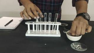 To study reaction of metals with dilute acids  For class 10th [upl. by Loreen274]