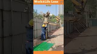 Hydraulic crane with winch extracts tree trunk using secure rigging for safe lifting [upl. by Surdna914]