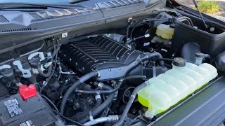 GEN 5 WHIPPLE SUPERCHARGER on an F150  Beechmont Ford Performance [upl. by Sissel]