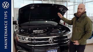 VW Maintenance Tips with St Catharines Volkswagen [upl. by Bran]