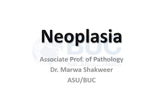 علم الأمراض  الأورام  pathology  Neoplasia  Lec 6 [upl. by Yllom]