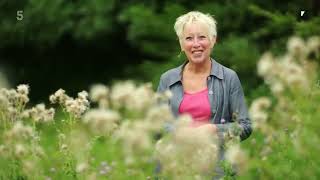 🔴 Gardeners World 2022  Gardening with Carol Klein 2022 Series 13 Episode 1 [upl. by Scammon]