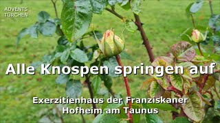 Alle Knospen springen auf [upl. by Anurag]