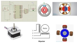 Stepper motor interfacing with 8051 [upl. by Rochester975]