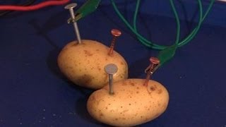 How To Make Your Own Potato Battery [upl. by Assiluy]