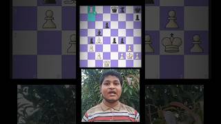 Can You Solve This Brilliant Rook Chess Puzzle 🏆 ChessChallenge [upl. by Hsenid646]