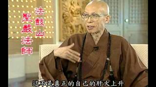 面對生氣的方法家人（聖嚴法師大法鼓 1021） [upl. by Karleen782]