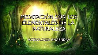 MEDITACIÓN CON LOS ELEMENTALES DE LA NATURALEZA  NAGENDRA [upl. by Nelleoj399]