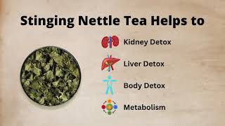 Teacurry Stinging Nettle Tea For Kidney Detox Sugar Blood Purify teacurry nettletea wellnesstea [upl. by Ahsaek]