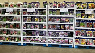 NEW ARRIVALS Shopping at COSTCO for Summer Blooming Bulbs [upl. by Thadeus827]