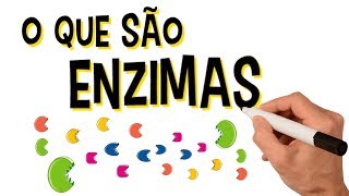 ✅ O QUE SÃO ENZIMAS [upl. by Hamish]