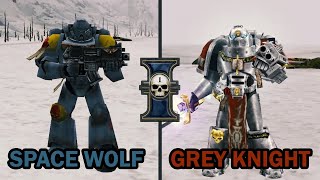 Space Wolf vs Grey Knight  Warhammer 40k Meme [upl. by Cirdes243]