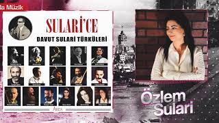 Özlem Sulari  Ben Bir Hastalığa  SulariceDavut Sulari Türküleri  Arda Müzik 2019 [upl. by Narej103]