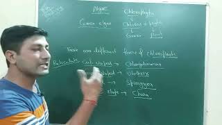 chlorophyta greenalgae 11thbiology neet neet2025 [upl. by Nnaul]