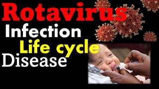 Rotavirus infection symptoms and replication cycle [upl. by Myrah76]