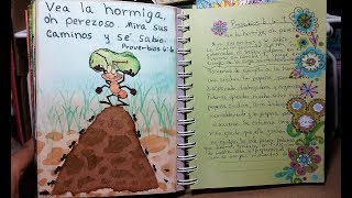 Diario Biblico Proverbios 6 69 [upl. by Aluor579]