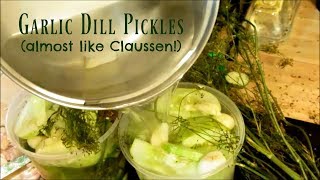 Claussen Copycat Recipe Quick Garlic Dill Pickles [upl. by Yoj]