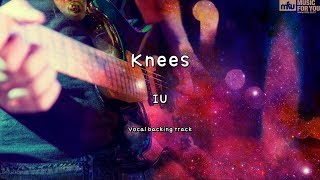 Knees  IU Instrumental amp Lyrics [upl. by Yuzik]