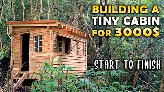 Building a DIY TINY CABIN for 3000 in the FOREST  START TO FINISH [upl. by Earla]