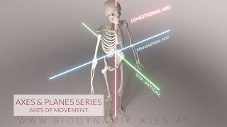 Axes amp Planes Part 4 Axes of Movement 3D Animation [upl. by Furgeson]