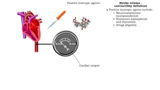 Stroke volume  contractility definition [upl. by Jansson]