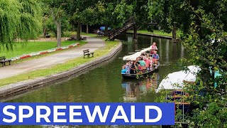 10 Orte im SPREEWALD die Du sehen solltest [upl. by Adnamar]