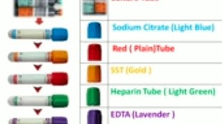 Phlebotomy order of Draw Blood Collection Procedure Order of Draw [upl. by Aisenat]