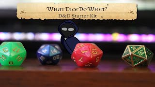 DampD Starter Kit  The Dice dnd howtoplaydnd [upl. by Elyssa]