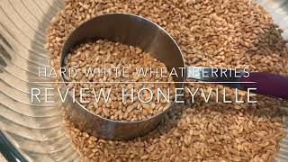 Hard White Wheat Berry Review amp Sandwich Bread Making Tip [upl. by Vic]