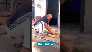 quotChatni Peesne Mein Ram Naamquot harekrishna harerama viralvideo [upl. by Dettmer]