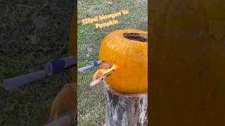 🎃125psi Blowgun Vs Pumpkin [upl. by Gray]