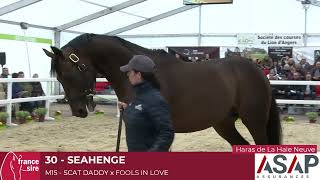 Lot 30  Seahenge [upl. by Finley]