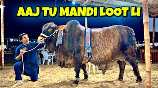 Aaj Mandi Loot Li 😍  Naseeb Ka Soda Hogaya  Cow Mandi Vlog  Janwar Pasand Agaya  Bakra Eid [upl. by Buckley]