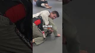 Joe Rogans Revolutionary Jiu Jitsu Trainer [upl. by Etnoek]