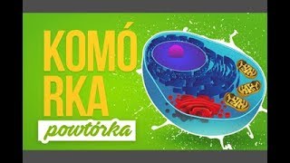 Komórka  Błona komórkowa i ściana komórkowa  Powtórka z biologii [upl. by Irisa260]