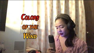 Colors of the Wind Cover Vanessa Williams [upl. by Arramat]