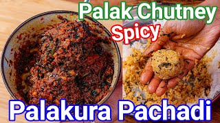 Palak Ki Chatni  Palakura Pachadi Andhra Style  Multipurpose Spinach Chutney for Rice Idli amp Dosa [upl. by Caplan]