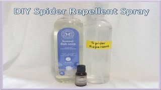 DIY Spider Repellent Spray [upl. by Asyar]