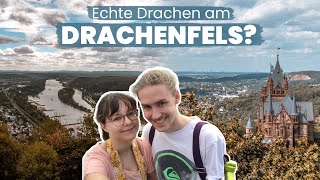 DRACHENFELS in Königswinter  Ausflug und Wandern im Siebengebirge [upl. by Sid280]