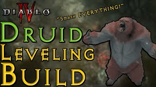 The BEST Druid Leveling Build  Diablo 4 Guide [upl. by Nazarius]