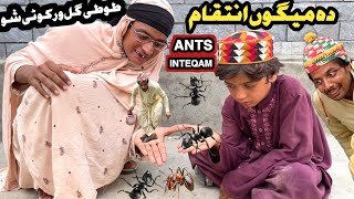 Ants Ka Inteqam Tuti Gull Warkote Sho  New Funny Video 2024 by Tuti Gull Vines [upl. by Nart535]