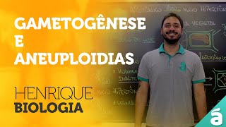 Gametogênese e Aneuploidias  Prof Henrique [upl. by Noral]