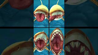 Hungry Shark World All Old Tiger Shark Animations [upl. by Nelloc795]