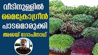 Microgreens At Home  ദിവസവും ഇലക്കറികൾ നമ്മുടെ വീട്ടിൽ തന്നെ ഉണ്ടാക്കിയെടുക്കാം [upl. by Starobin]