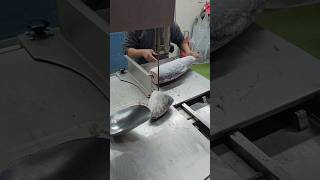 Australian Surmai King Fish Fast Cutting Machine Skillsshorts [upl. by Donall440]