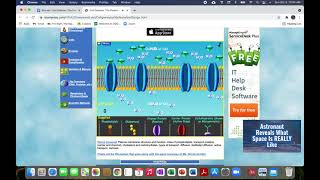 Bioman Cell Defense The Plasma Membrane [upl. by Hale]