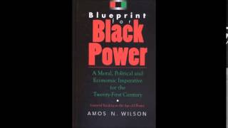 Amos N Wilson  Developing the Undeveloped African Mind Part 1 [upl. by Terrej]