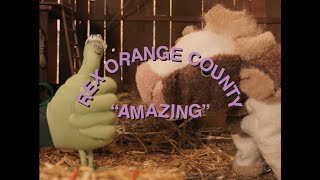 Rex Orange County  AMAZING Official Video [upl. by Allison457]