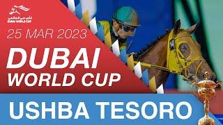 Dubai World Cup  250323  Dubai World Cup sponsored by Emirates Airline  Ushba Tesoro [upl. by Sidonius]